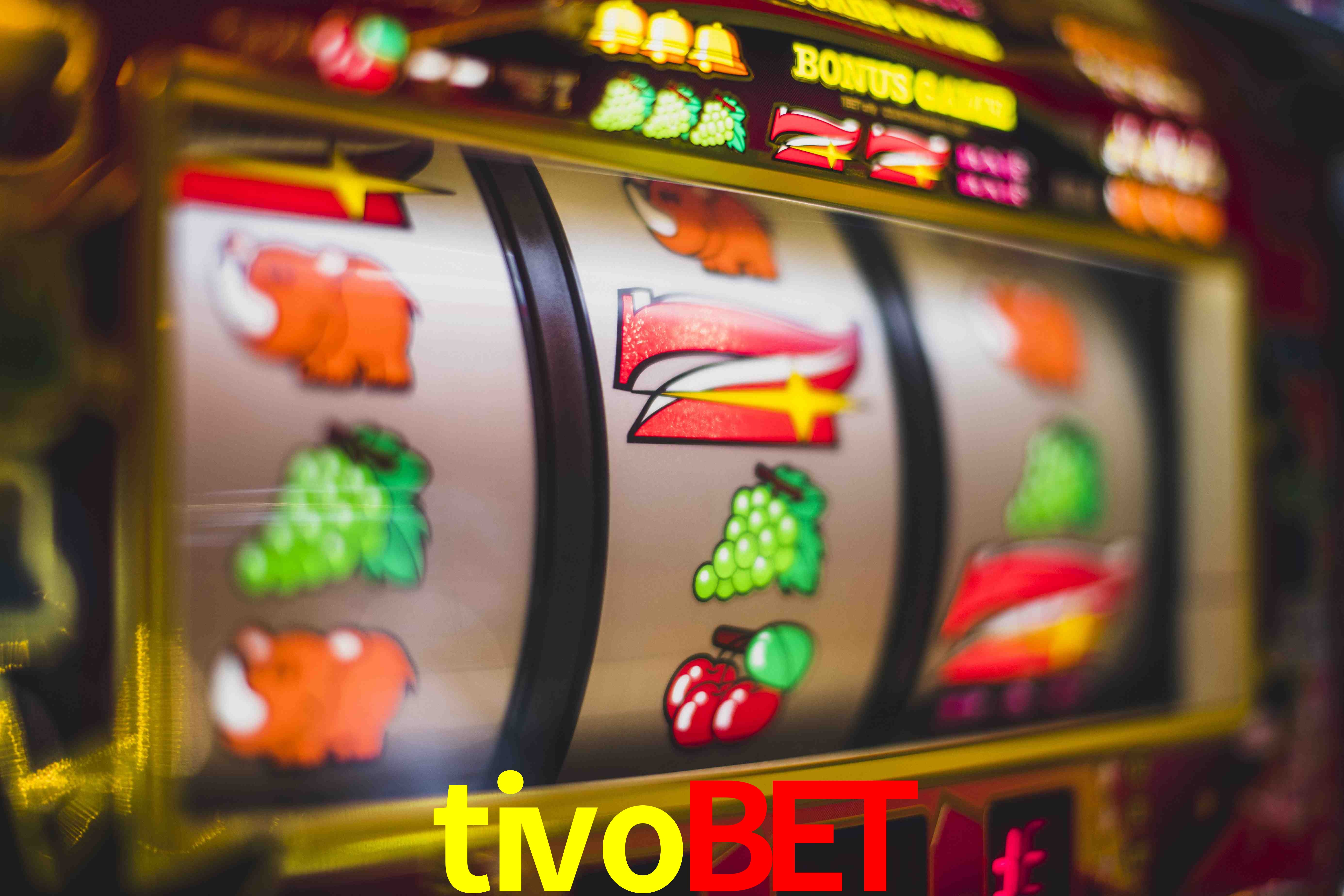 Basketball Betting tivobet